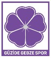 Güzide Gebze Spor Kulübü